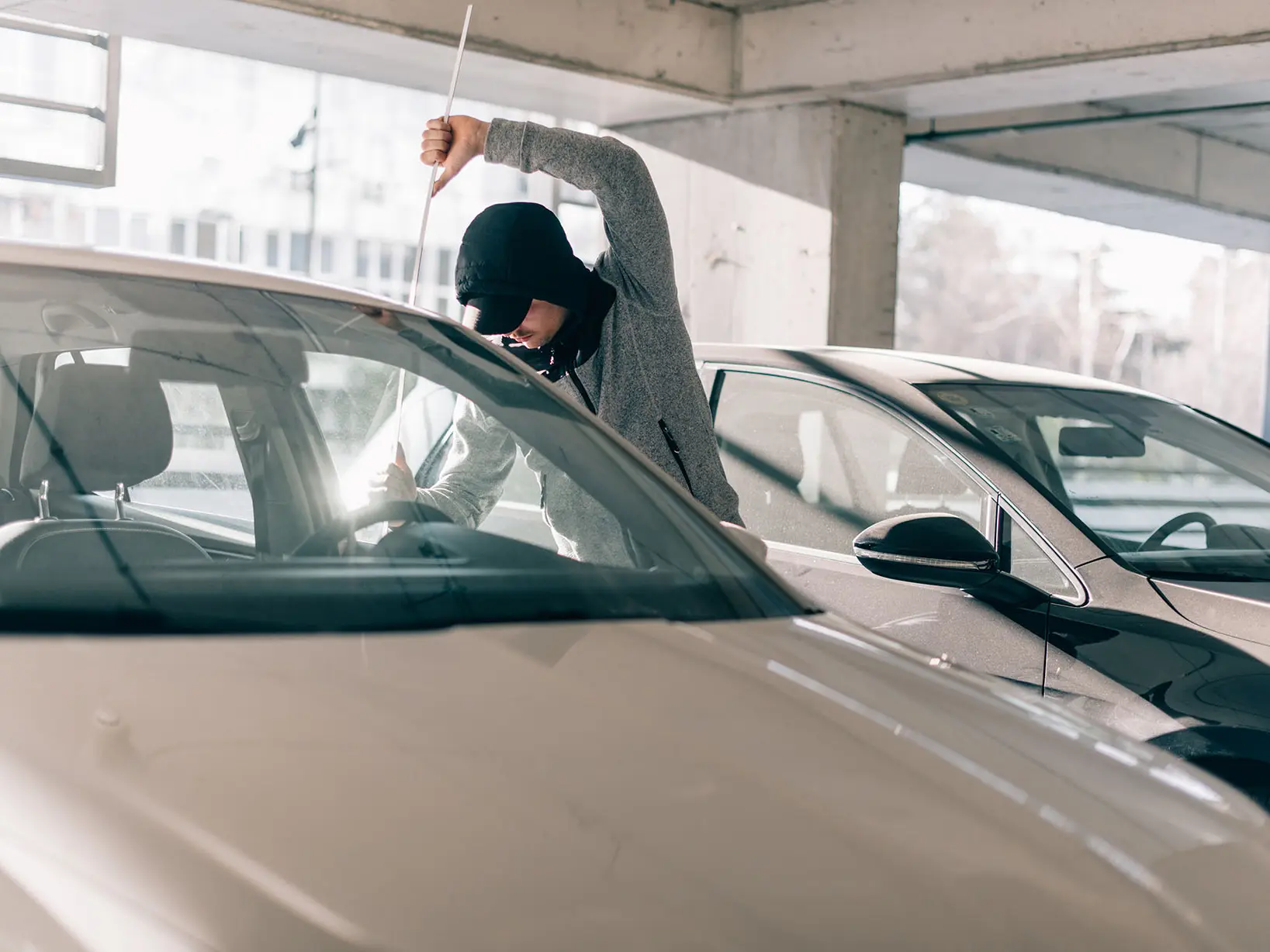 ladrón de vehículos