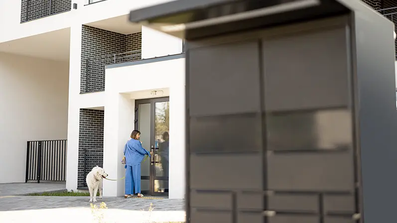 seguridad en portales de Madrid